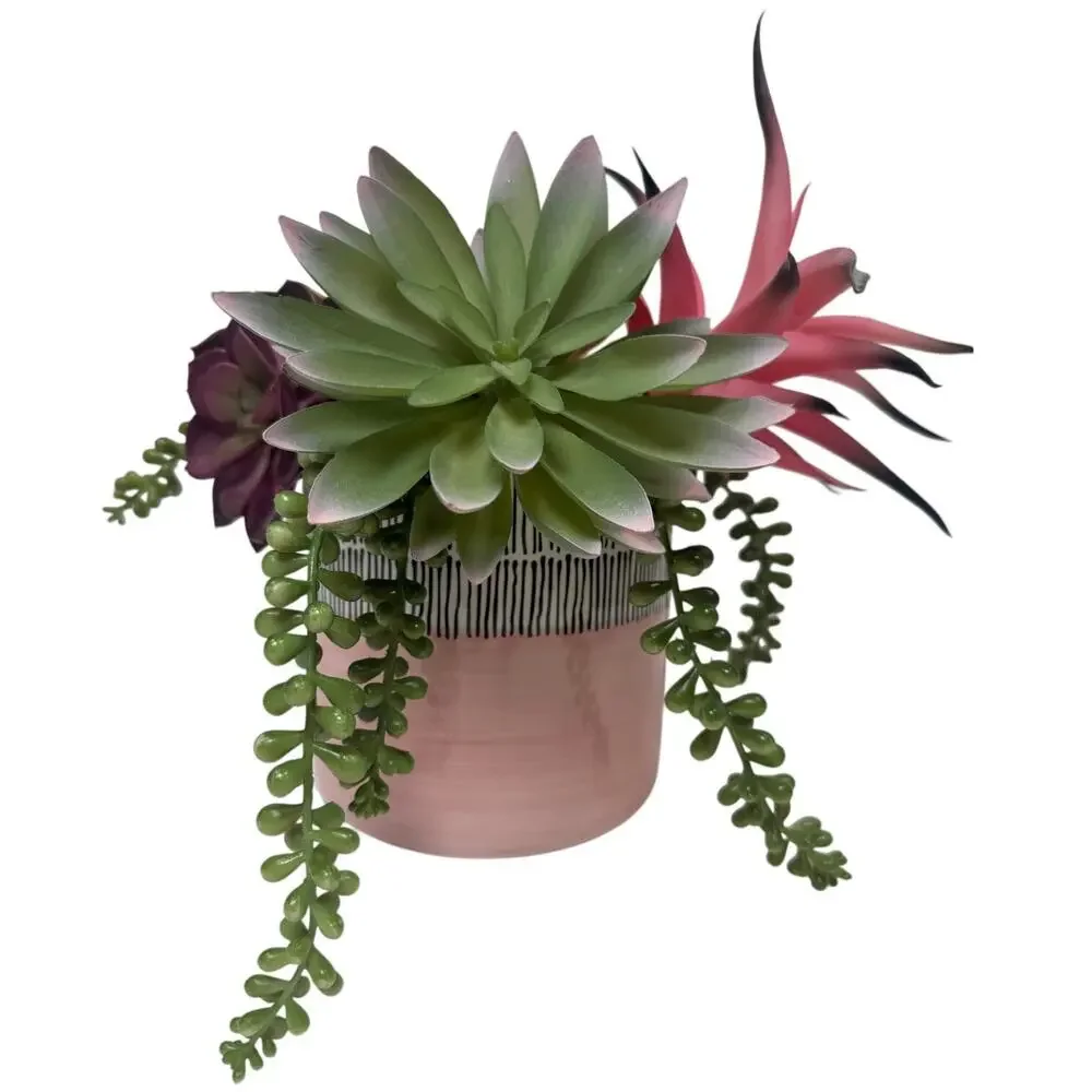 Artificial Succulent Plants Set of 5 Realistic Greenery Decor